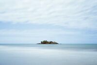 高中作文800字作文素材