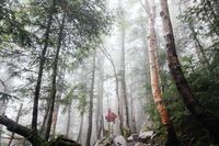 继承屈原的爱国DNA的作文500字