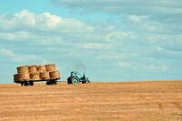 高中第六册四单元作文:圣诞节发言稿 高中第六册四单元作文:圣诞节发言稿