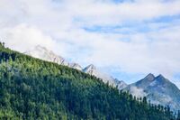 古诗中的离情别绪作文