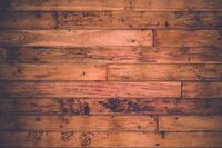 我的梦想作文600字