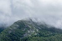 远离艾滋病-六年级作文