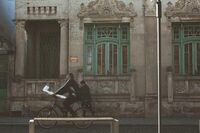 友情的味道作文800字