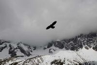 小学成功的作文 篇1