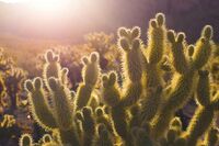 高中第三册二单元作文：中学生该不该看武侠小说