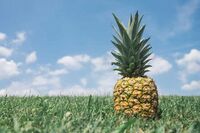 描写难忘的春游作文范文1