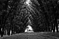 春天小学作文 篇1