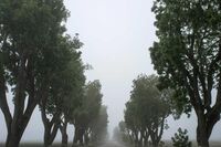 森林童话故事作文400字左右