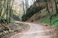 龟兔赛跑小学作文1