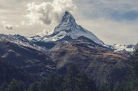 感谢相遇作文500字