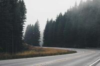 蚂蚁报恩的作文300字 1 蚂蚁报恩的作文300字 1