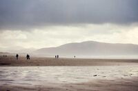 报恩的作文1 报恩的作文1