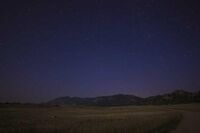 作文500字:关爱患者,共抗艾滋 1 作文500字:关爱患者,共抗艾滋 1