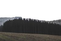 包容别人的缺点作文 包容别人的缺点作文