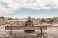 爱国从学习开始-小学四年级作文 爱国从学习开始-小学四年级作文