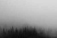 强势是贬义词吗