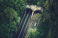 那只可爱的小白兔五年级作文