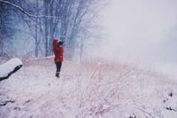 走上辩论台作文