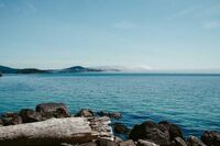 (必备)春游作文