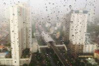 难忘的班会小学作文1 难忘的班会小学作文1