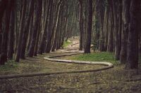 高中第三册第二单元作文：武侠小说不该沉迷