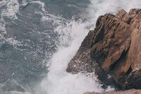 我与芭蕾的故事作文