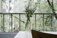 生活中的变化满分作文 篇1