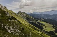 淘气的小白兔作文550字