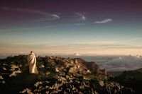 【孝顺好媳妇先进事迹材料】