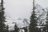 孝心少年主要事迹材料【篇一】 孝心少年主要事迹材料【篇一】