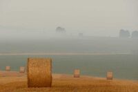 保护环境话题作文 篇1 保护环境话题作文 篇1