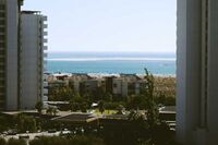 新龟兔赛跑小学作文1