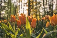 爸爸的变化作文1