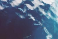 话题作文：追求1