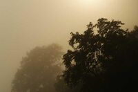 写景记叙文：春游