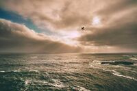 多愁善感是贬义词吗