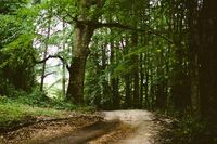 我爱家乡的端午节作文1 我爱家乡的端午节作文1