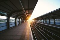 二十年后家乡的变化作文1