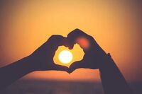 春天柳树的作文1