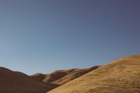 我眼中的春天的作文 1