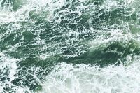 爱心的话题作文1 爱心的话题作文1