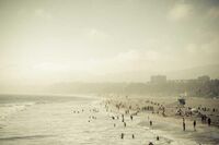 花都香草世界春游作文