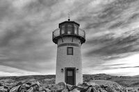 贝壳为话题的作文:美丽的贝壳 贝壳为话题的作文:美丽的贝壳