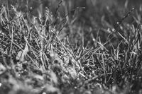 世界何时铸剑为犁的作文 世界何时铸剑为犁的作文