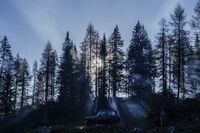 校园读书之星事迹材料【篇一】