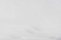 我家的精灵鬼小白兔小学作文