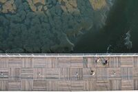 初三英语作文：How to be a good person 1