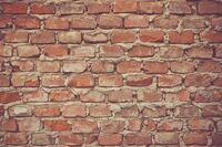 不要畏惧错误小学作文