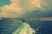 以贝壳为话题作文1 以贝壳为话题作文1