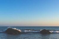 我的梦想作文100字